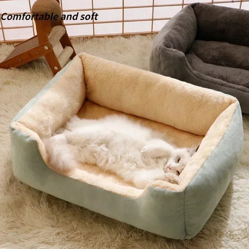 Dog & Cat Beds